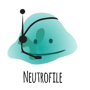 neutrofile - odporność